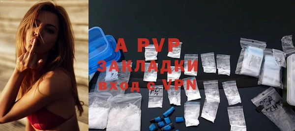 трава Сатка