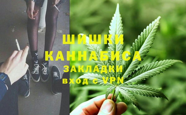 трава Сатка