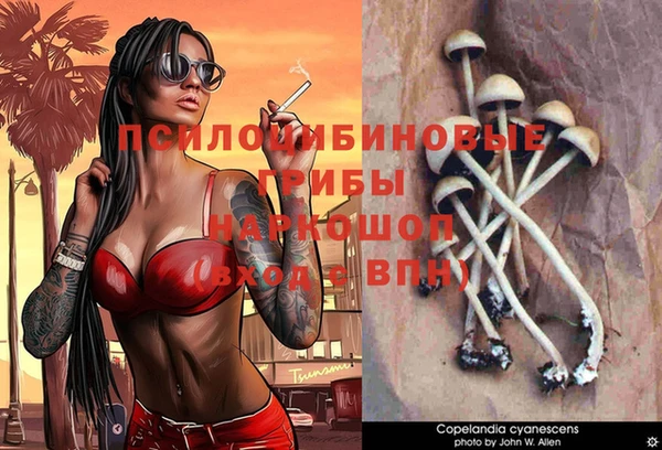 apvp Саяногорск