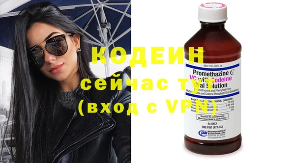 гашик Балахна
