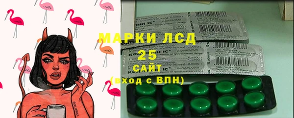 гашик Балахна